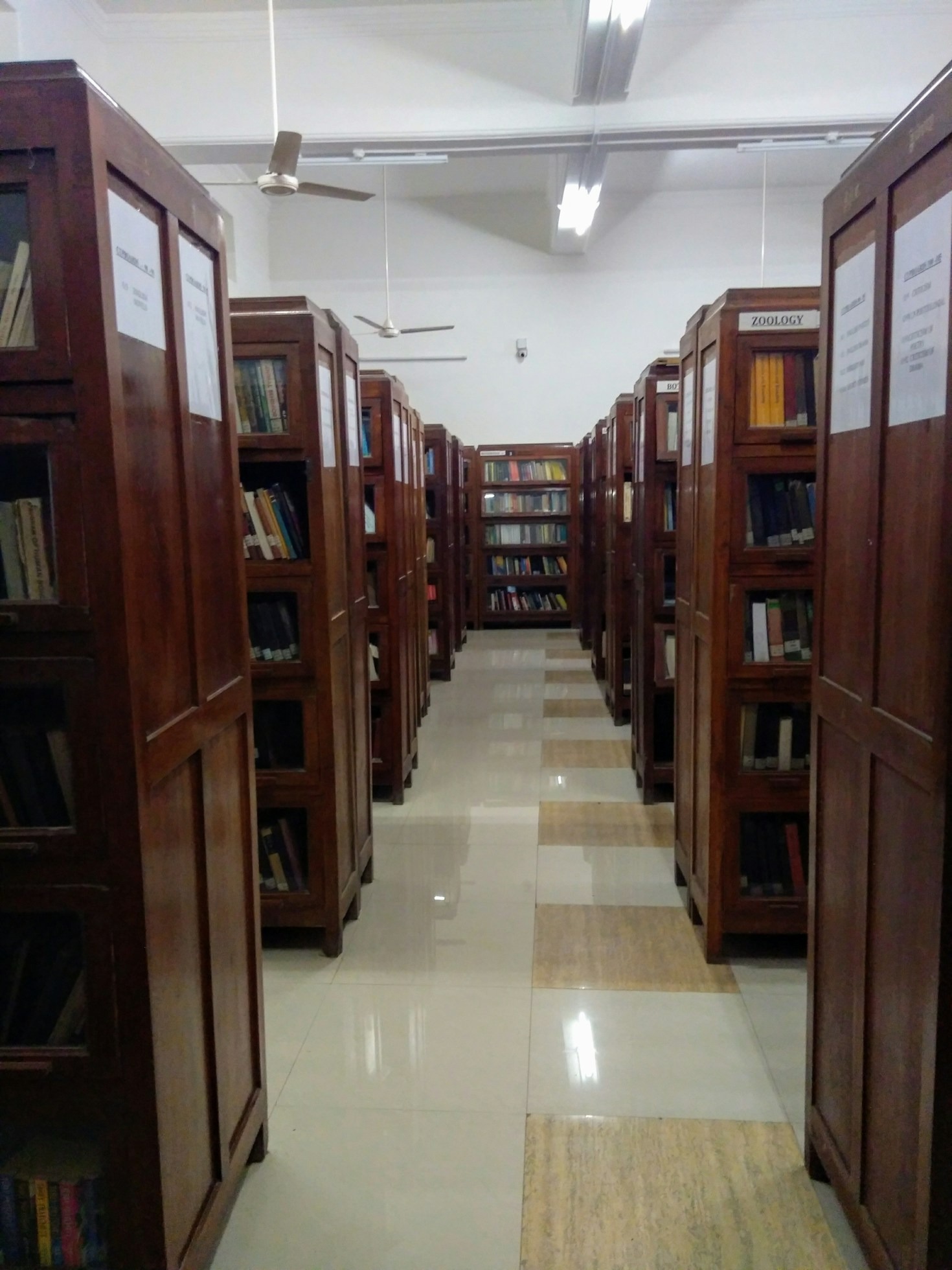 The Role of Short Stories in Hindi Literature
